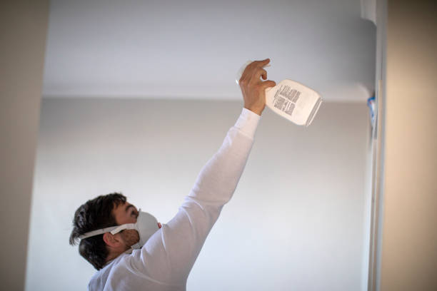 Best Post-Flood Mold Remediation in New York Mills, MN